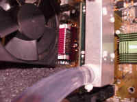 Bild19.jpg (91272 Byte)